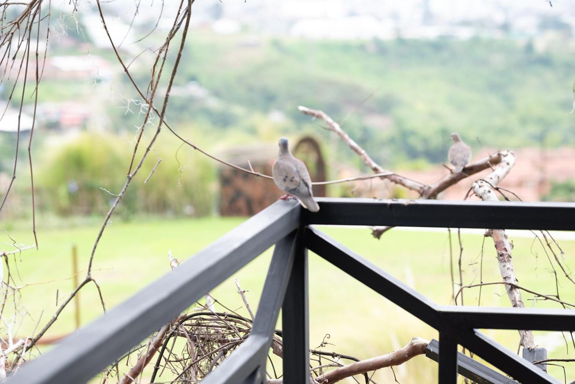 Hotel Pachamama Campestre Dosquebradas Dış mekan fotoğraf